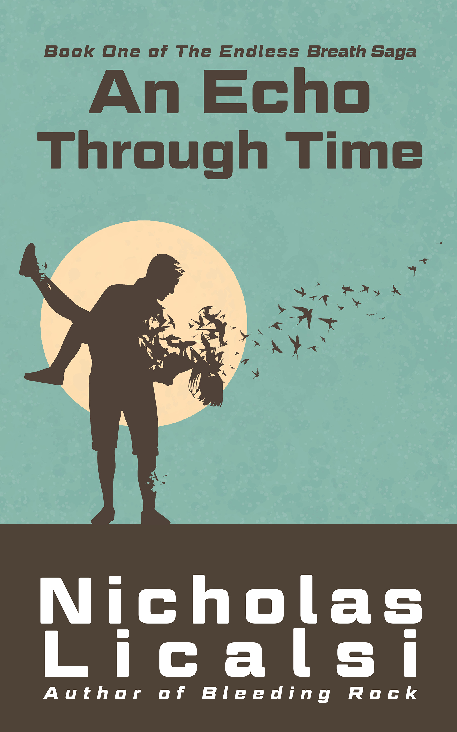 An Echo Through Time book cover